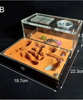 Big Kid Friendly Ant Farm Castle With Plaster And Acrylic Slab Nest, Feeding Area And Workshop Terrarium, Hands On Educational Ecosystem Gift For Curious Minds, 22.3x19.7x9.5cm