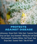 Leaf with fungus disease signs next to text highlighting protection from various lawn diseases.