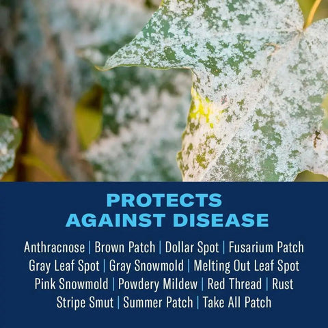 Leaf with fungus disease signs next to text highlighting protection from various lawn diseases.