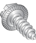 Close-up of 18-8 Stainless Steel Sheet Metal Screw with Slotted Drive, Serrated Hex Washer Head, Type AB Point for Thin Metal.