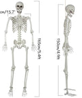 Totally Realistic Halloween Posable Skeleton With Movable Joints Life Size 165 Cm Tall Durable Plastic Bones Front Side View