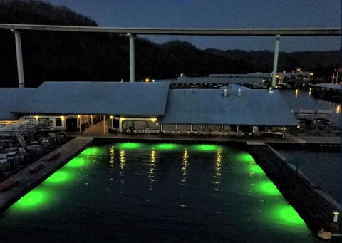 Top Shelf Green Dock Light And Fishing Lantern Waterproof Marine Grade illuminating a dock at night.