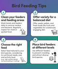 Infographic with bird feeding tips, including cleaning feeders, offering varied diet, choosing right feed, and placing feeders at levels.