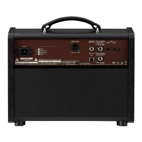 Back panel of Gig-Ready Acoustic Singer Live LT 60-Watt Dual Channel Guitar Amp with inputs and controls.