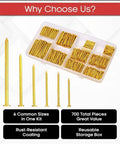 Heavy Duty Assorted Galvanized Steel Nails Kit Including Seven Hundred Gold Pieces With Solid High Carbon Build And Multi Size Finishing Options Perfect For Easy Picture Hanging And No Fuss Handiwork That Delivers A Top Shelf Setup Every Time.