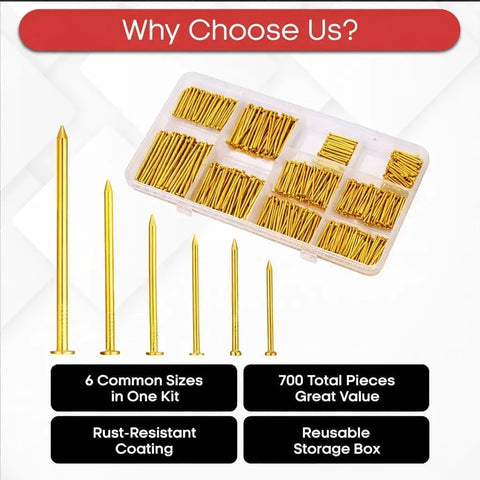 Heavy Duty Assorted Galvanized Steel Nails Kit Including Seven Hundred Gold Pieces With Solid High Carbon Build And Multi Size Finishing Options Perfect For Easy Picture Hanging And No Fuss Handiwork That Delivers A Top Shelf Setup Every Time.