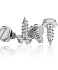 4 Piece 304 Stainless Steel License Plate Screw Kit With Slotted Bolts And Self Tapping Design For Secure Front Rear Car Truck Suv Mounting showing hex head and self-tapping screws.