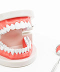 Durable Stainless Steel Dental Mirror For Gums Cavities And Tongue Inspection Handheld Dentist Tool With Clear Visibility From Every Angle And Easy Maintenance For Daily Use By Dental Assistants next to dental model