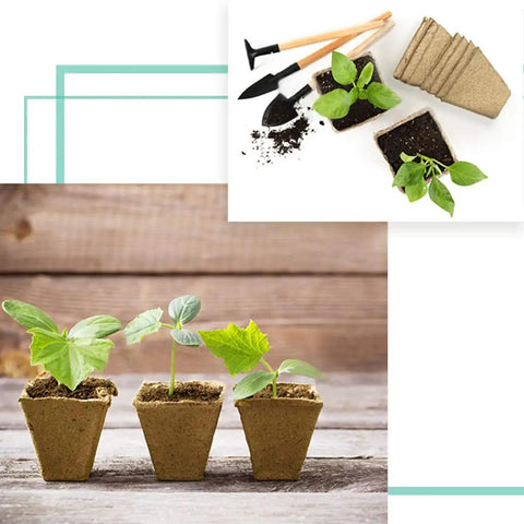 plant starter pots 3.25" Seed Starter Pots - Eco Biodegradable