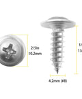 Rock Solid Two Fifty Pack Number Eight By One Half Inch Forty One Stainless Steel Self Tapping Wood Screws With Phillips Bit displayed.