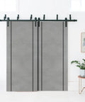 Bypass Sliding Door Set With 6.6Ft Heavy Duty Rails, Double 48In X 80In Doors Two Panels At 24X80 installed with top mount