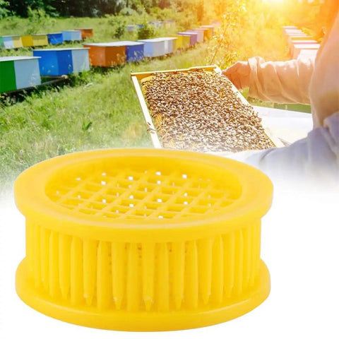 Six Piece Beekeeping Queen Rearing Box Kit With Plastic Queen Cages for isolation DIY queen production shown in beekeeping setting
