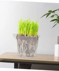 4 Pack Self Watering Flower Pots With Automatic Water Absorbing Design Easy Maintenance Planters For Healthy Plants Ideal Indoor Garden Pots For Home Office Or Apartment Decor, clear plastic pot with roots