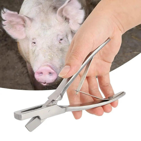 Stainless Steel Pig Ear Tag Pliers For Farm Animals Identification Tool V Shape Lightweight And Durable To Streamline Animal Tagging On The Go Perfect For Quick Ear Marks On Pigs shown held by a hand with a pig in the background.