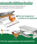 Automatic Treadle Chicken Feeder For Smart Backyard Flocks 11 Pound Capacity Rodent Block Poultry Feeding Trough with hen accessing grain.
