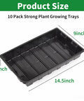 Ten Pack No Drain Holes Seed Starter Trays Made From Durable Reusable Plastic for Seedlings, Hydroponics, Greenhouse, 14.5x9.0x2.2 in