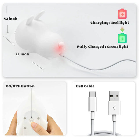 Kitty Night Light USB Rechargeable With Touch Sensor And Remote Control 16 Color Multicolor shown charging and USB cable
