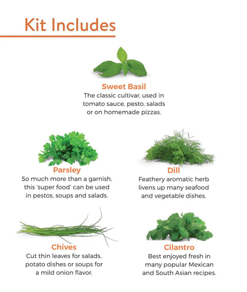 Kit includes images of sweet basil, parsley, dill, chives, cilantro for Indoor Herb Garden Starter Kit With Five Seed Packets.
