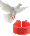 8mm Plastic Pigeon Leg Bands With Numbered IDs 001-100 Red Durable Bird Ring shown on pigeon