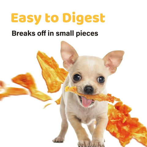 Small dog chewing Turkey Tendon Chews For Dogs 40 Count Bulk Pack 100 Percent Turkey Sourced In The US Hypoallergenic All Natural Pup Treats Rawhide Alternative Lollipop Size.