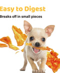 Puppy chewing on Turkey Tendon Chews For Dogs 20 Count Bulk Pack Pure Turkey US Sourced Rope Chews Medium No Additives