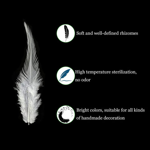 Rooster Saddle Feathers Craft Pack 200 Pcs 5 To 7 Inches Premium Natural Feathers For DIY Earrings Dream Catchers Wedding Decor Party