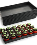 1020 Flat Seed Starter Trays 10 Pack BPA Free Plastic Nursery Pots Trays with seedlings, no drainage holes, durable design.