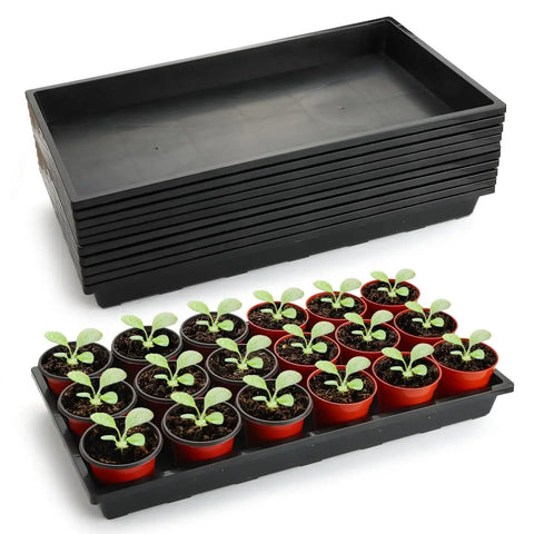 1020 Flat Seed Starter Trays 10 Pack BPA Free Plastic Nursery Pots Trays with seedlings, no drainage holes, durable design.