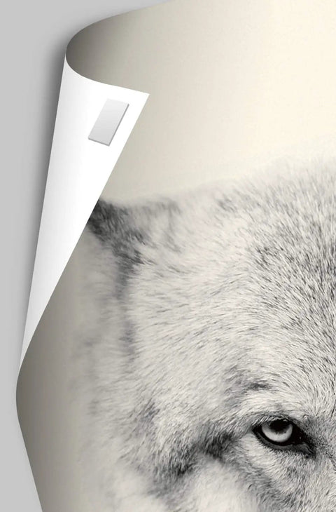 Solo Leveling Sung Teaser Wall Poster Featuring Straight Fire Glossy Anime Art And Easy Peel Mounting Tabs For Zero Hole Wall Display, 22 By 15 Inch Premium Vibe Check Bundle, detail of corner with peel tab.