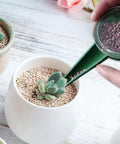 Using Handheld Seed Spreader With 5 Adjustable Settings And Ergonomic Grip for planting seeds in a potted plant