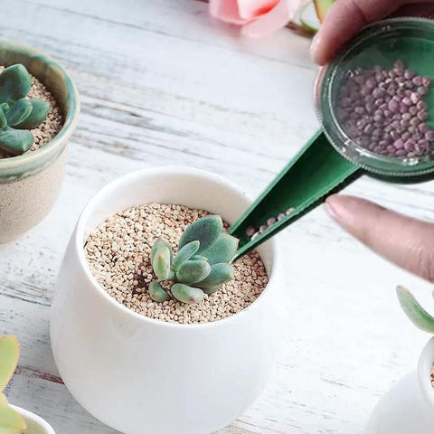 Using Handheld Seed Spreader With 5 Adjustable Settings And Ergonomic Grip for planting seeds in a potted plant
