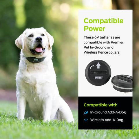 Top Shelf 6V Lithium Battery Pack Of Two For Electric Dog Fence Collars And Wireless Pet Containment Systems Long Lasting Reliable Training Gear No Sweat Daily Use with dog and batteries.