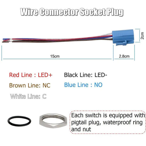 Wire Connector Socket Plug with labeled wires and components for 19mm Latching Pushbutton Switch With Dope Blue 12V LED Power Symbol.