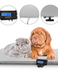 Heavy Duty Digital Platform Scale With 660 Lb Capacity Stainless Steel Livestock And Pet Veterinary Weighing Station with cats and dogs.