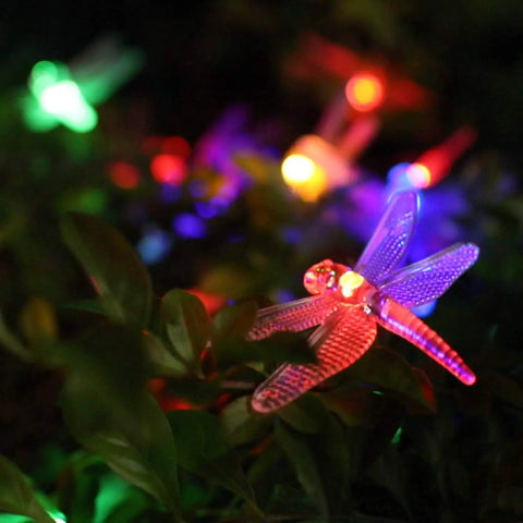 Colorful dragonfly LED lights in garden setting, highlighting outdoor solar string lights, decorative garden lighting.