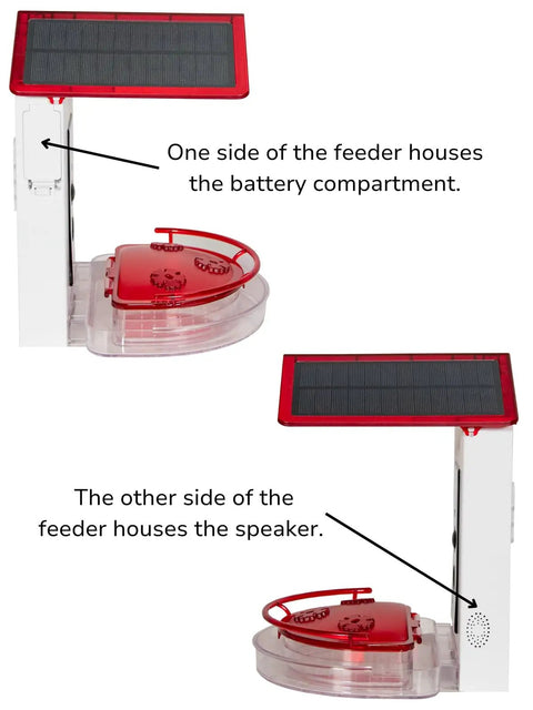 Killer 2 In 1 Hummingbird Feeder With Solar Smart Camera And AI Species Tracking overview with battery and speaker compartments.