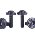 Premium Grade 5 Titanium Bolts, M6 Torx Head Screws, black fasteners showing top and side view, tough motorcycle hardware.