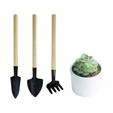 Mini Garden Tools Set 3 Piece Rake Trowel Shovel with wooden handles next to a potted succulent, ideal for small pots.