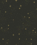 Upon A Star Black And Metallic Peel And Stick Wallpaper Easy Install On Smooth Walls Removable No Residue Repositionable