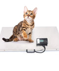 Built Like A Rock Heavy Duty Pet Scale Designed For Big Dogs And Livestock With Stainless Steel Platform And Snappy LCD Screen, cat on scale.