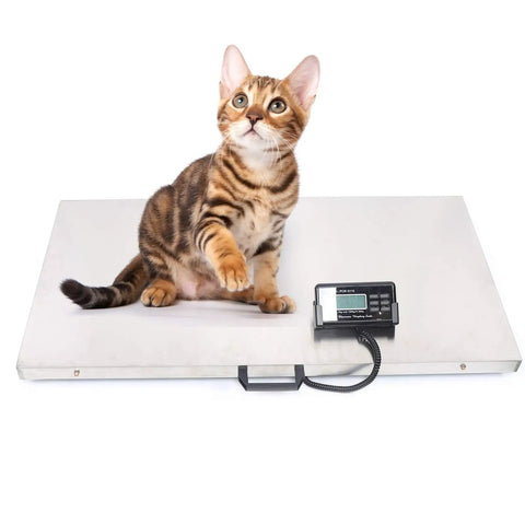 Built Like A Rock Heavy Duty Pet Scale Designed For Big Dogs And Livestock With Stainless Steel Platform And Snappy LCD Screen, cat on scale.