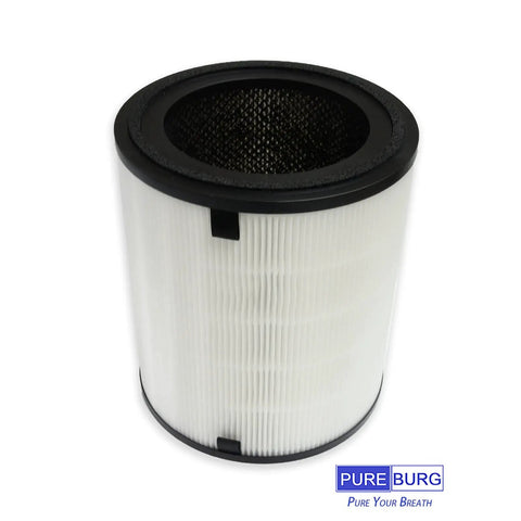 Replacement Filter For Levoit LV-H133 Air Purifier LV-H133 RF H13 True HEPA Activated Carbon Beefed Up Three Stage Filtration With Easy Install Reduces Dust Pollen Smoke Pet Dander And Other Tiny PM25 Particles Pack Of 1
