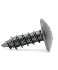 Close-up of black plated rustproof stainless steel self tapping bolt, part of License Plate Screws Front And Rear Mount Hardware Kit.