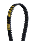 HTD Timing Belt 5M Profile 535mm with 107 Teeth, high torque drive visible, fiberglass cord, low stretch polychloroprene rubber