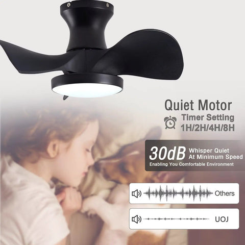 22" Modern Small Ceiling Fan with Light, Matte Black Reversible fan showing propeller blades and integrated LED for small spaces.