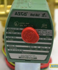 Heavy Duty One Inch Npt Solenoid Valve For Water Control 5 To 150 Psi Range 120 Volt AC energized coil with green and red housing