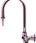 Lab Faucet With Pro Grade Single Temperature Control For Wall Mount Setup Rigid Gooseneck Spout With Serrated Tip Four Arm Handle