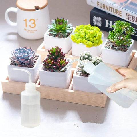 Two Pack 250ml Squeeze Wash Bottles, Narrow Mouth Plastic Safety Bottles For Medical And Plant Care, Lightweight LDPE With Measurement Scales For Cleaning, Watering Tools, Succulent Care, watering succulents