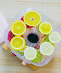 Five Layer Electric Food Dehydrator With Adjustable Shelves For Home Fruit Vegetable And Meat Jerky Drying Countertop Appliance with lemon and lime slices
