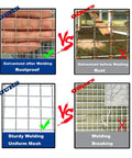 Comparison of rustproof and rusted mesh, sturdy and breaking welding. Beefy 36x50 Hardware Cloth One Quarter Inch 23Ga Welded Wire Mesh.